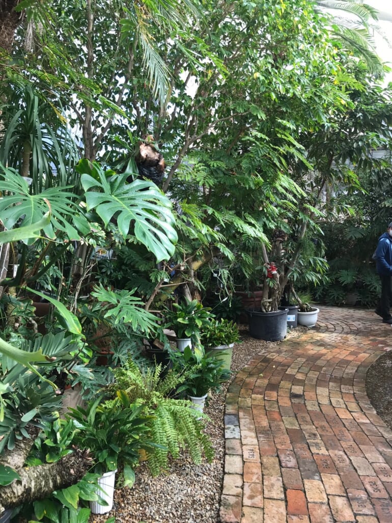 the farm garden