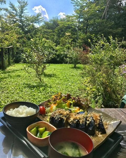 lunch